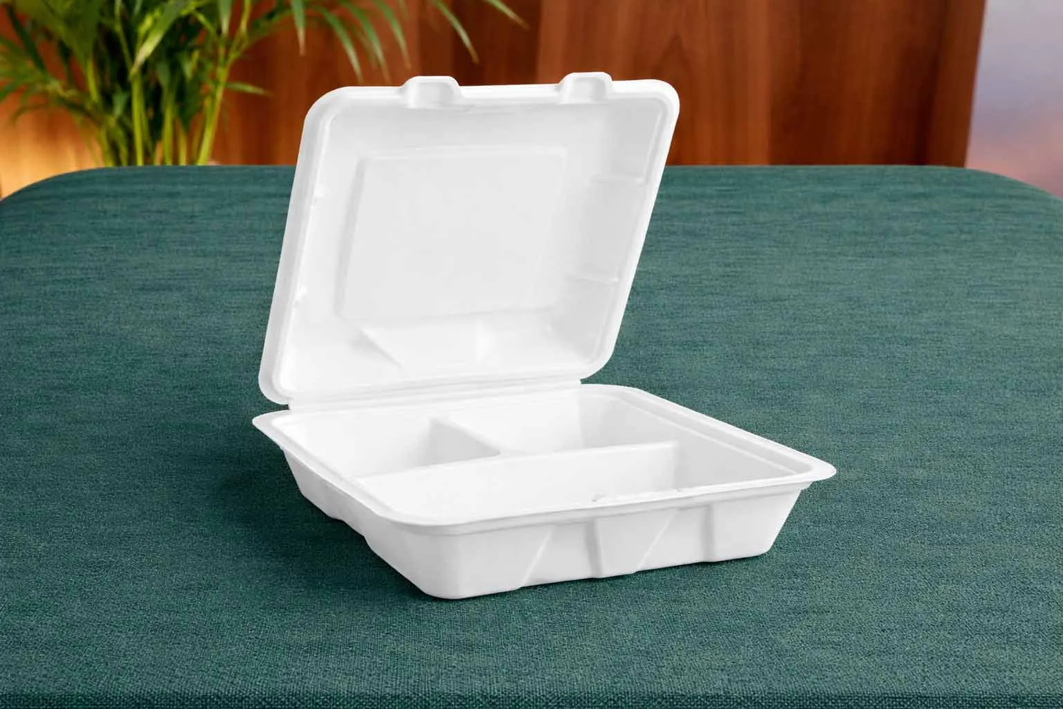 9x9 3CP Clamshell