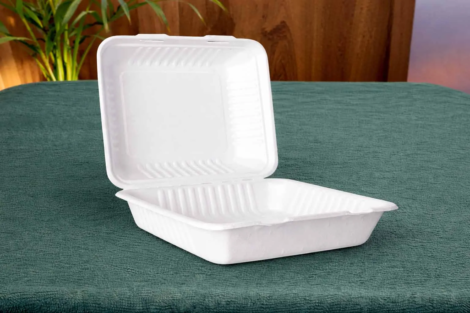 9x9 Clamshell