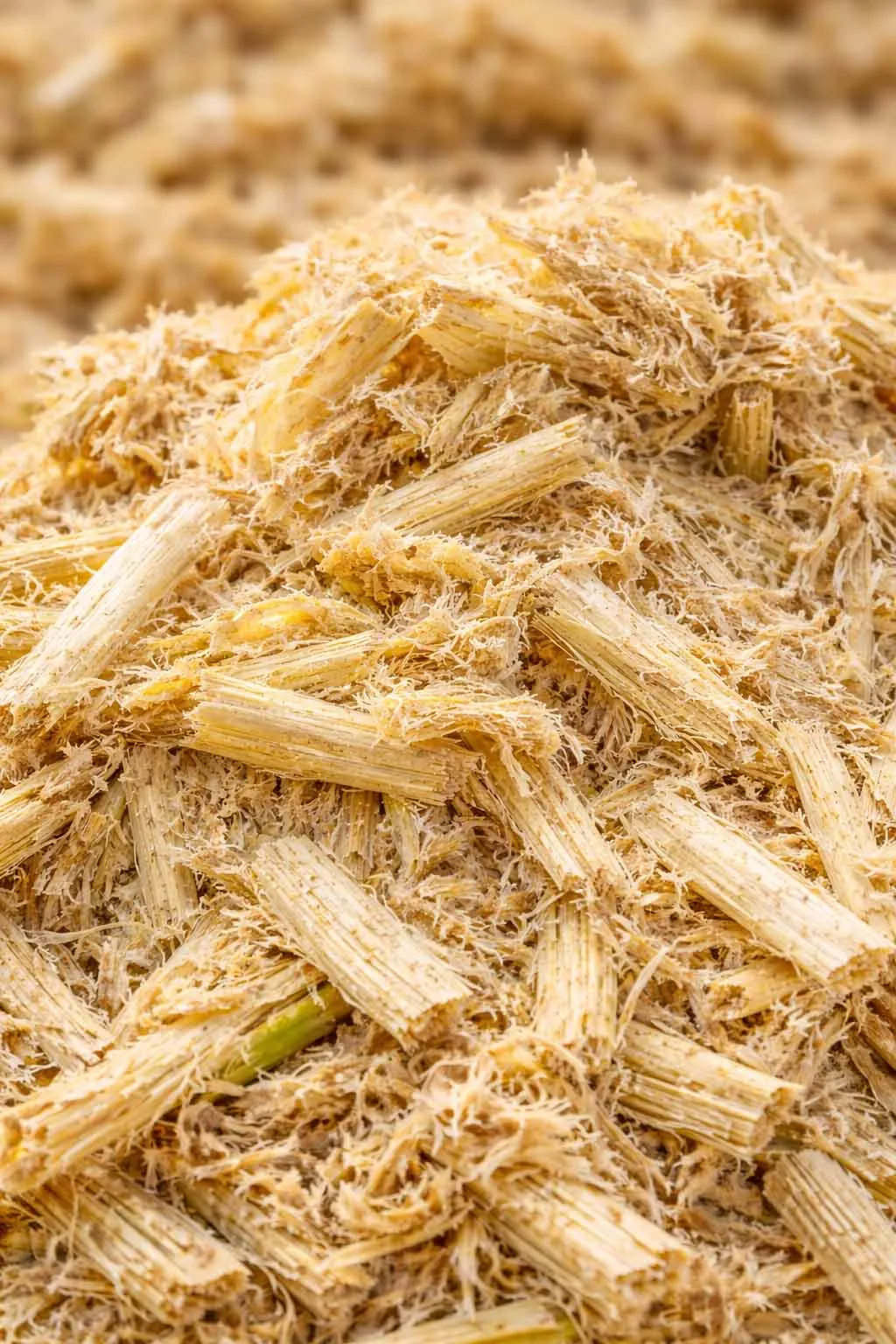 Sugarcane Bagasse Raw Material Processing
