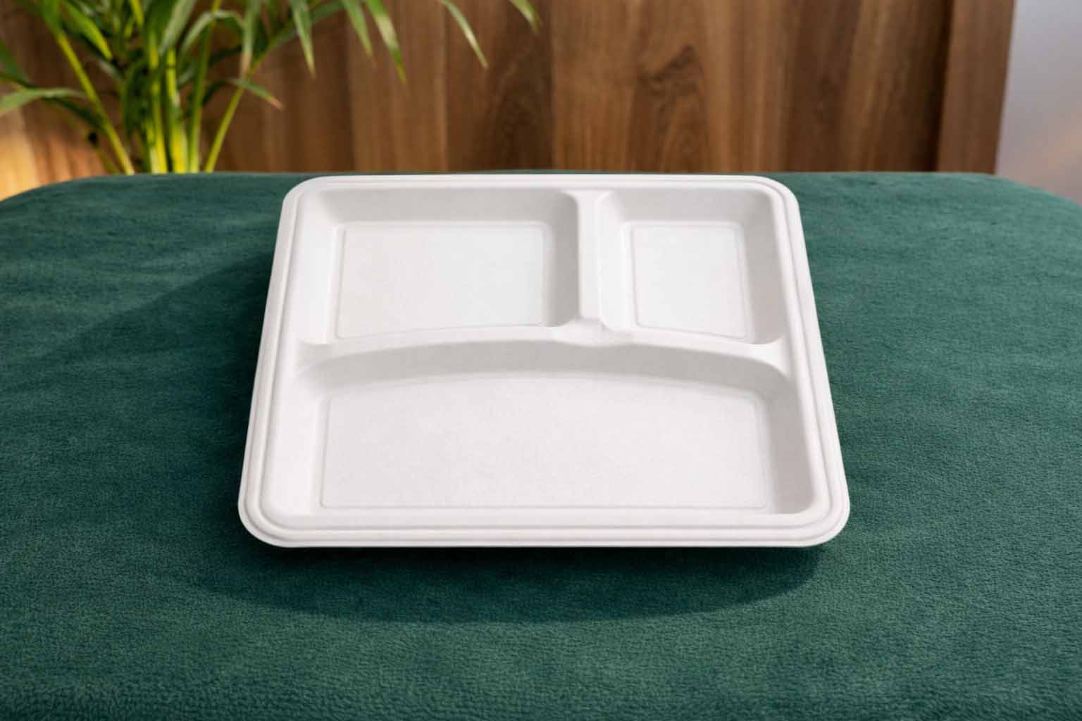 10 inch 3CP Square Plate