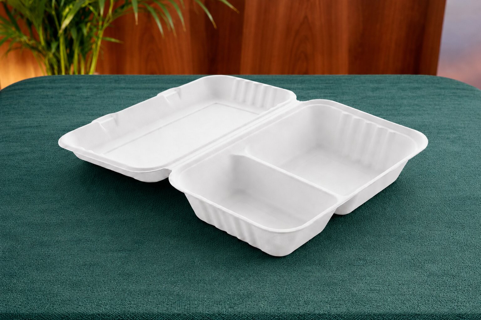 10x6 2CP Clamshell