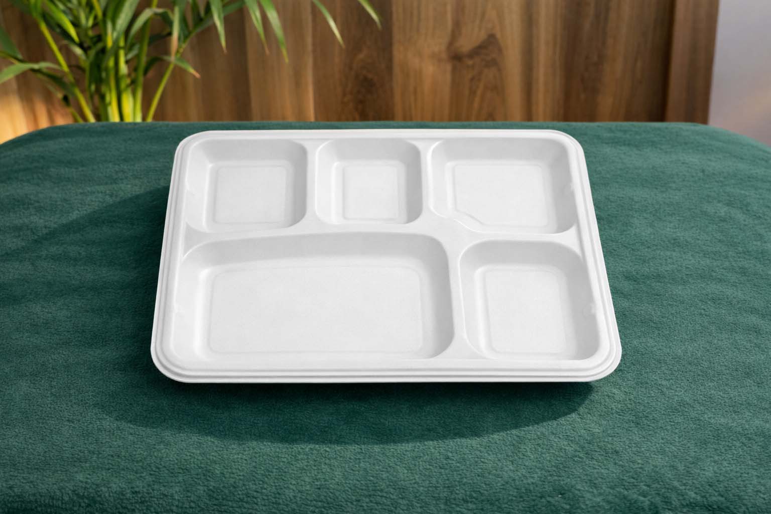 5 Compartment Meal Tray