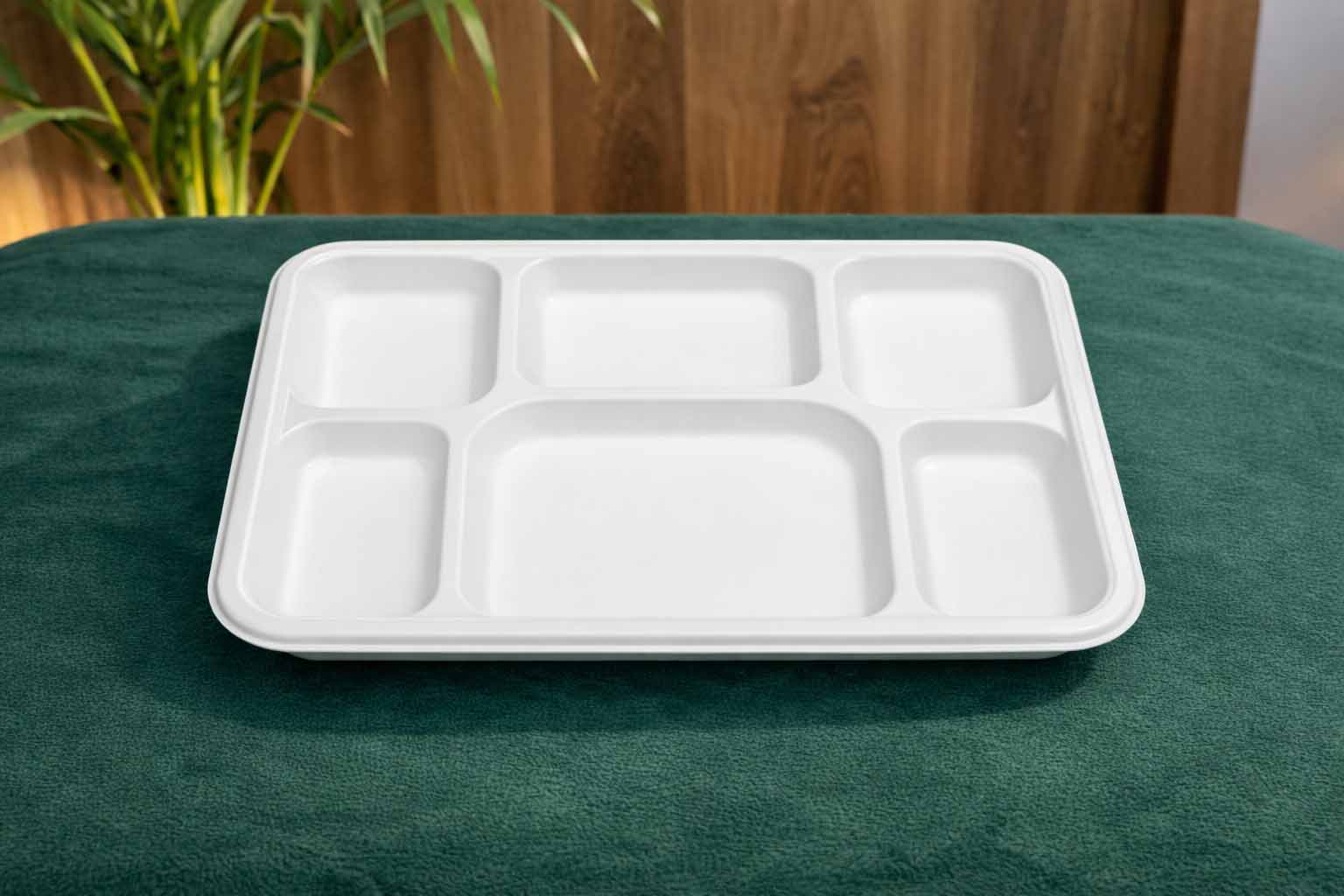 6 Compartment Meal Tray