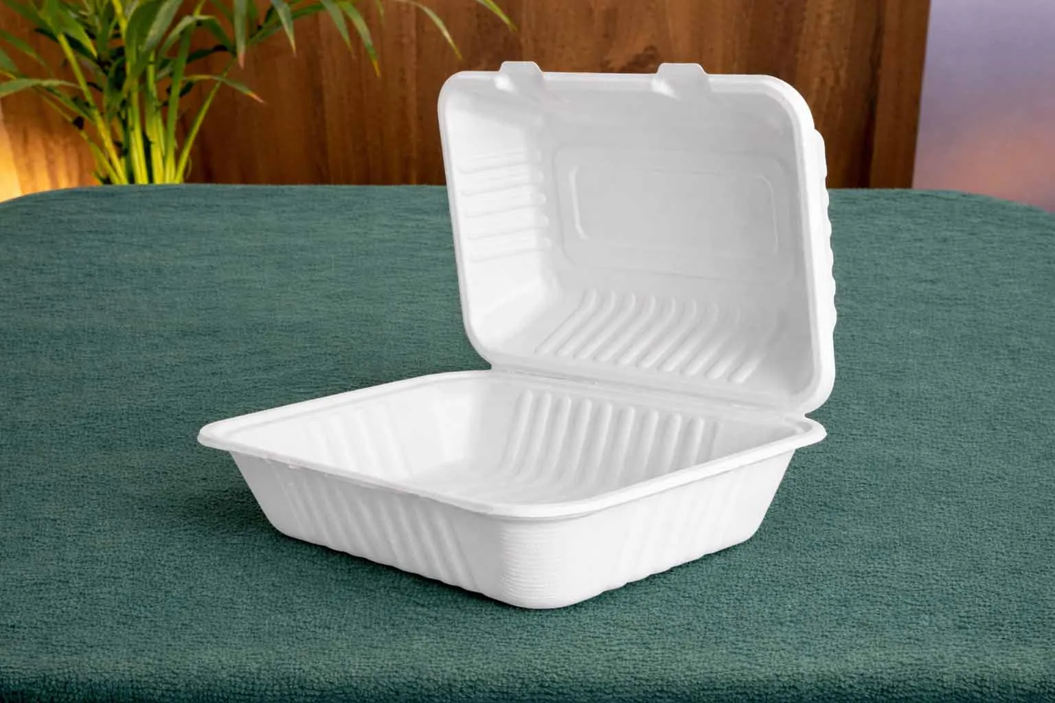 9x6 Clamshell