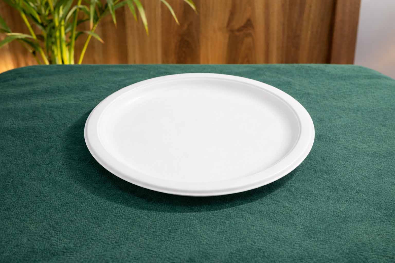 Round Plate — 11 Inch
