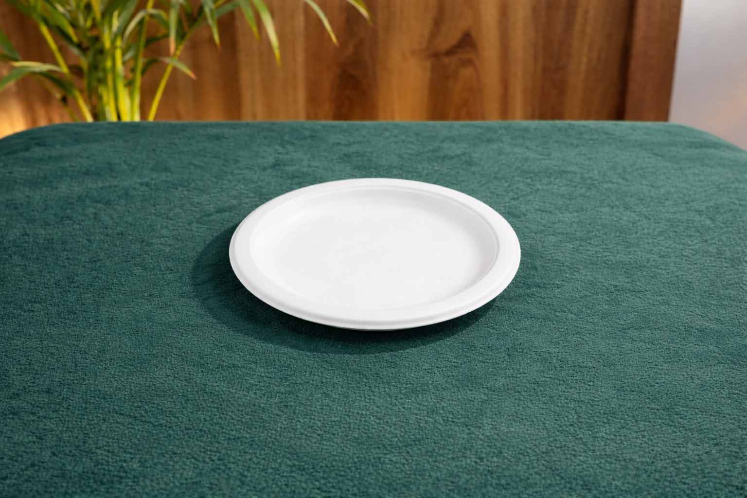 Round Plate — 6 Inch