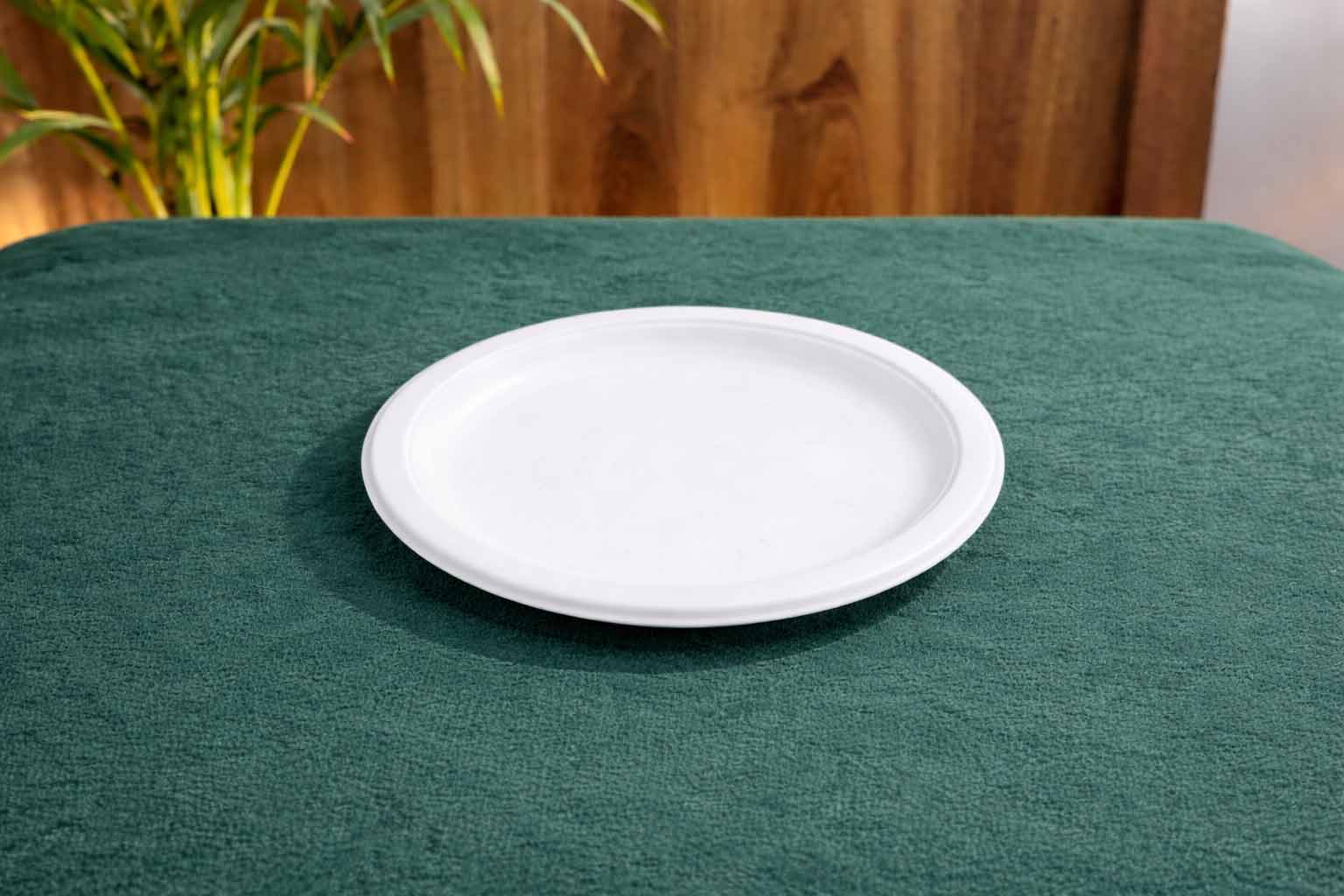 Round Plate — 9 Inch