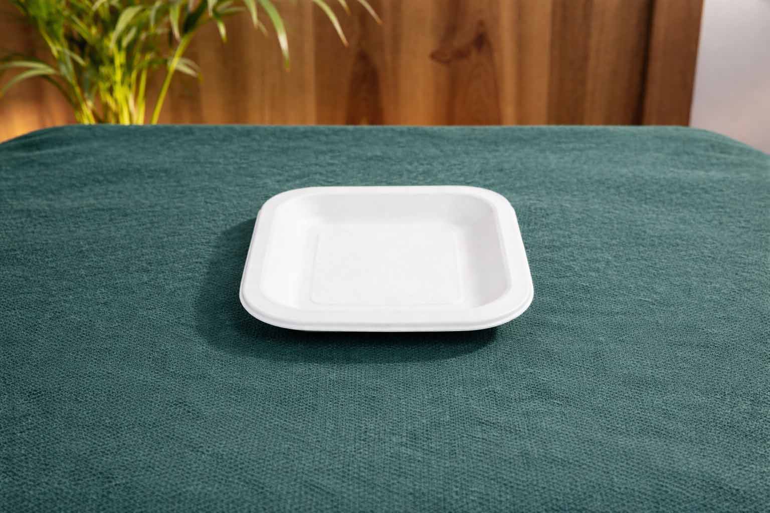 Square Plate — 6 Inch