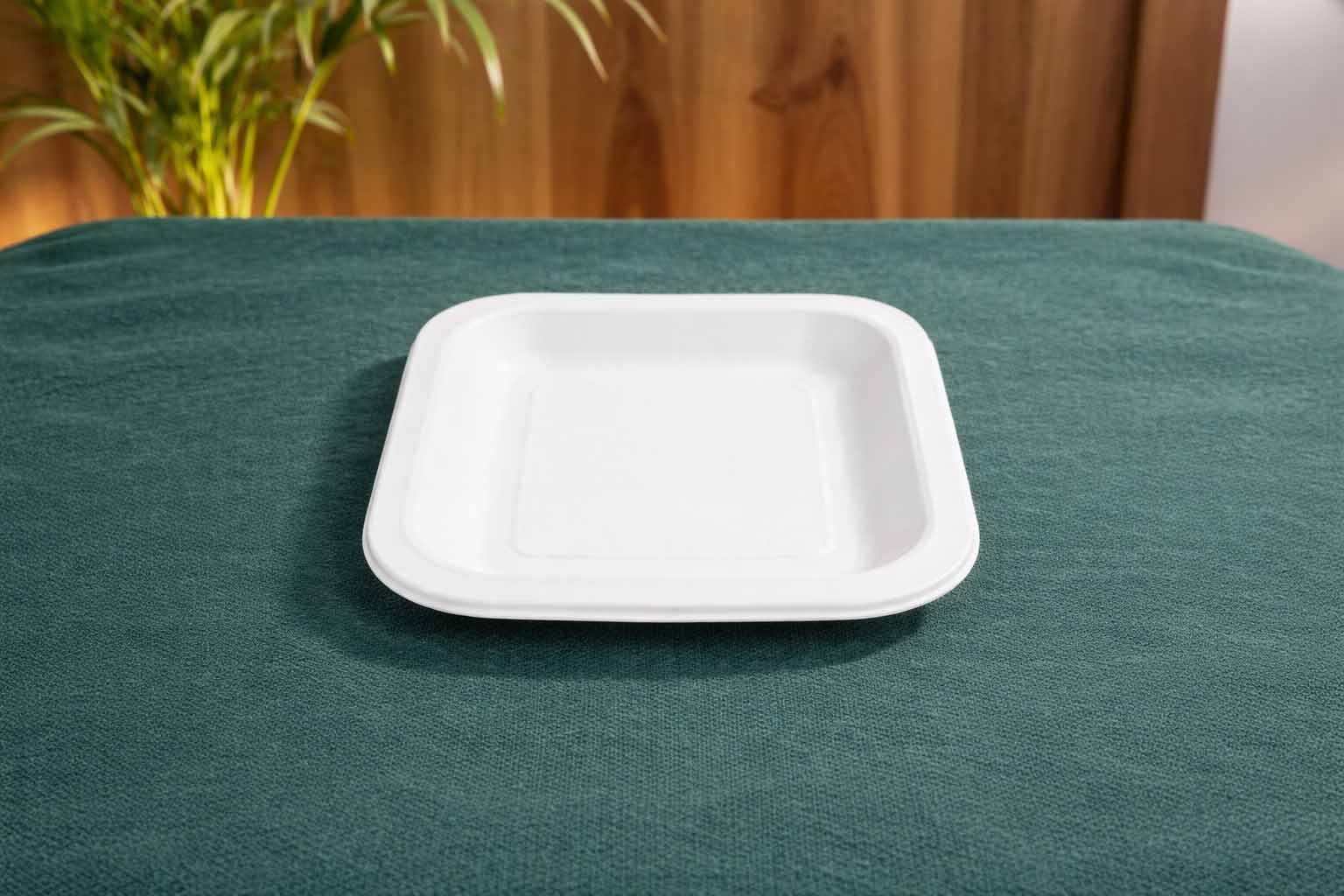 Square Plate — 7 Inch