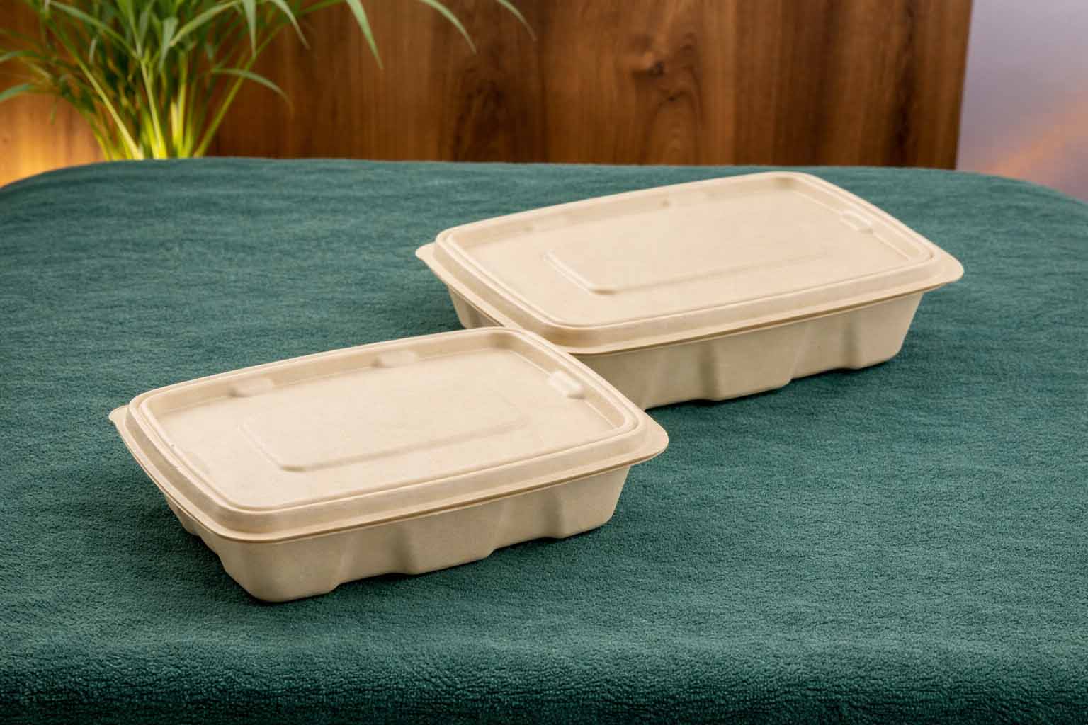 Rectangular Takeaway Container — 750ml